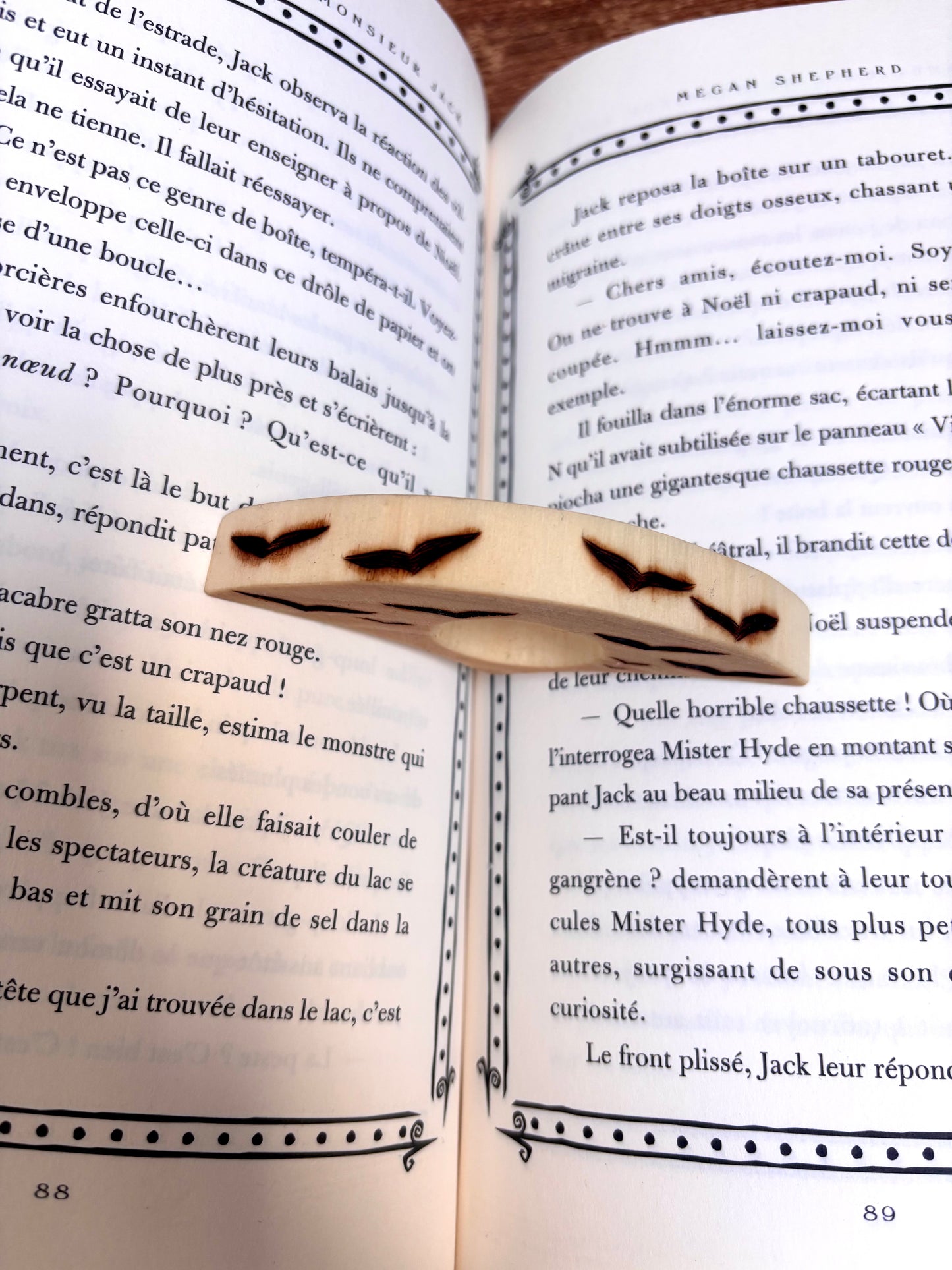 BAGUE DE LECTURE OISEAUX
