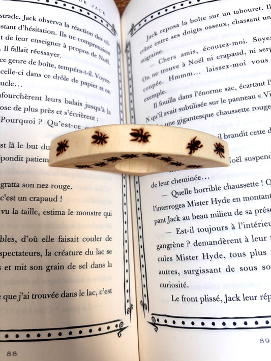 BAGUE DE LECTURE FOURMIS