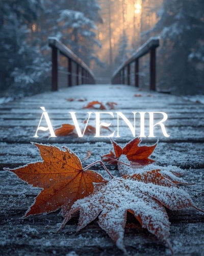 Hiver