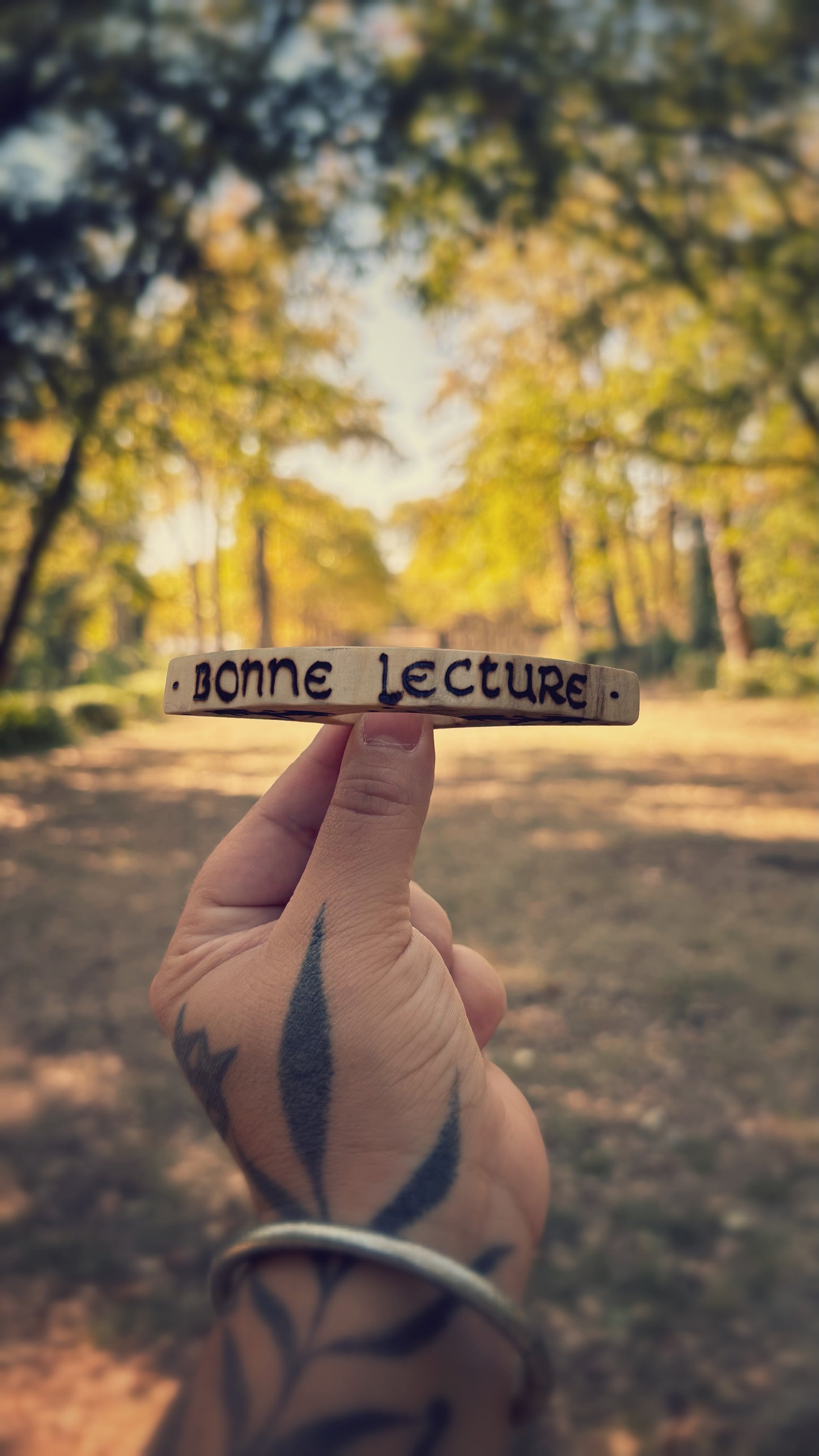 BAGUES DE LECTURE EN BOIS