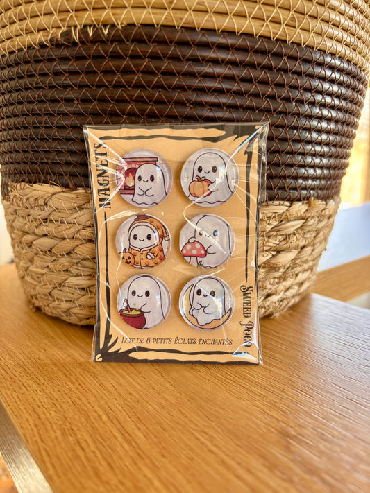 LOT DE 6 MINI MAGNETS MAGIQUES