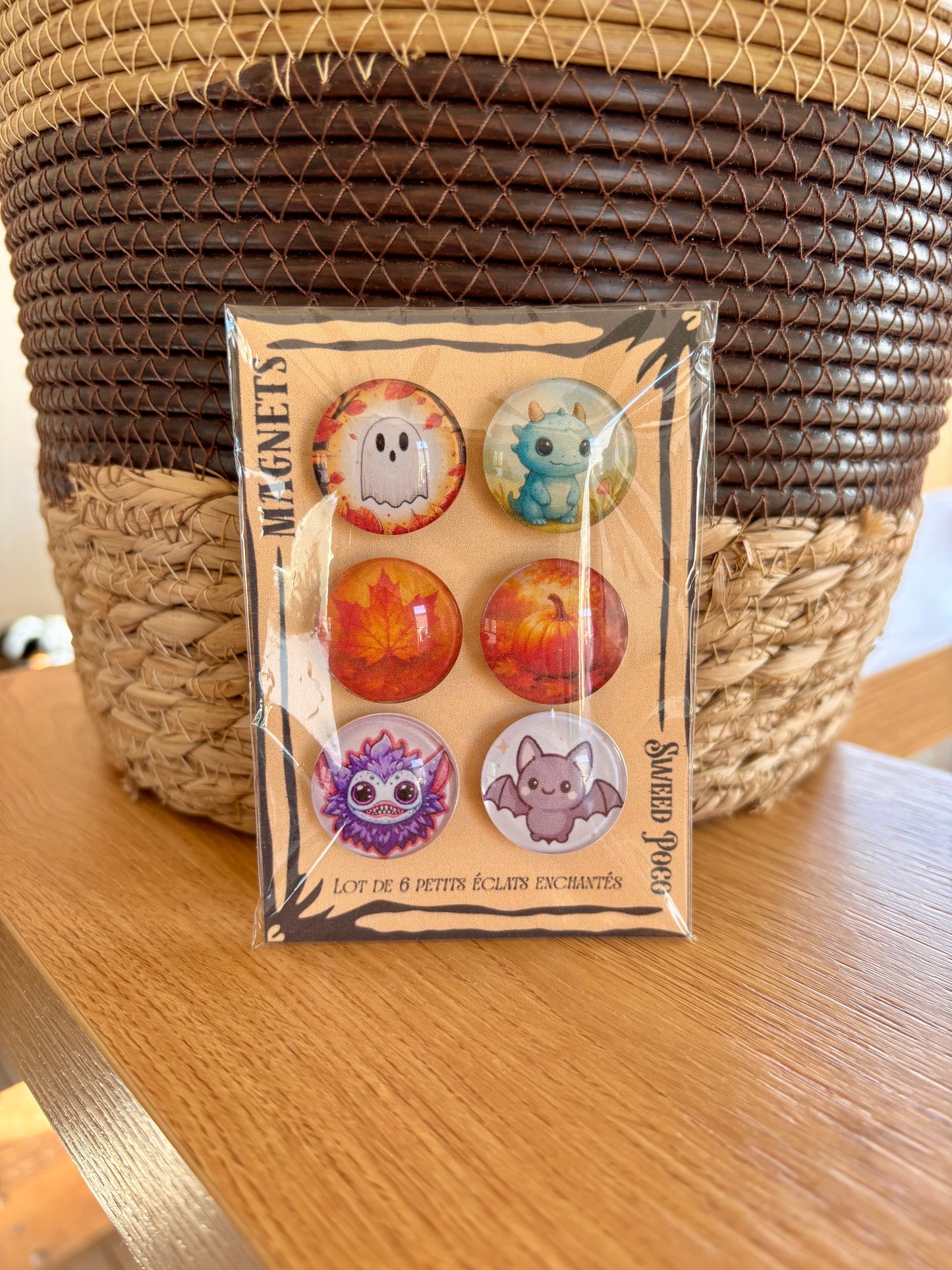 LOT DE 6 MINI MAGNETS MAGIQUES
