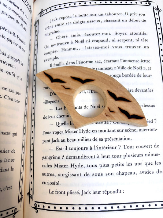 BAGUE DE LECTURE OISEAUX