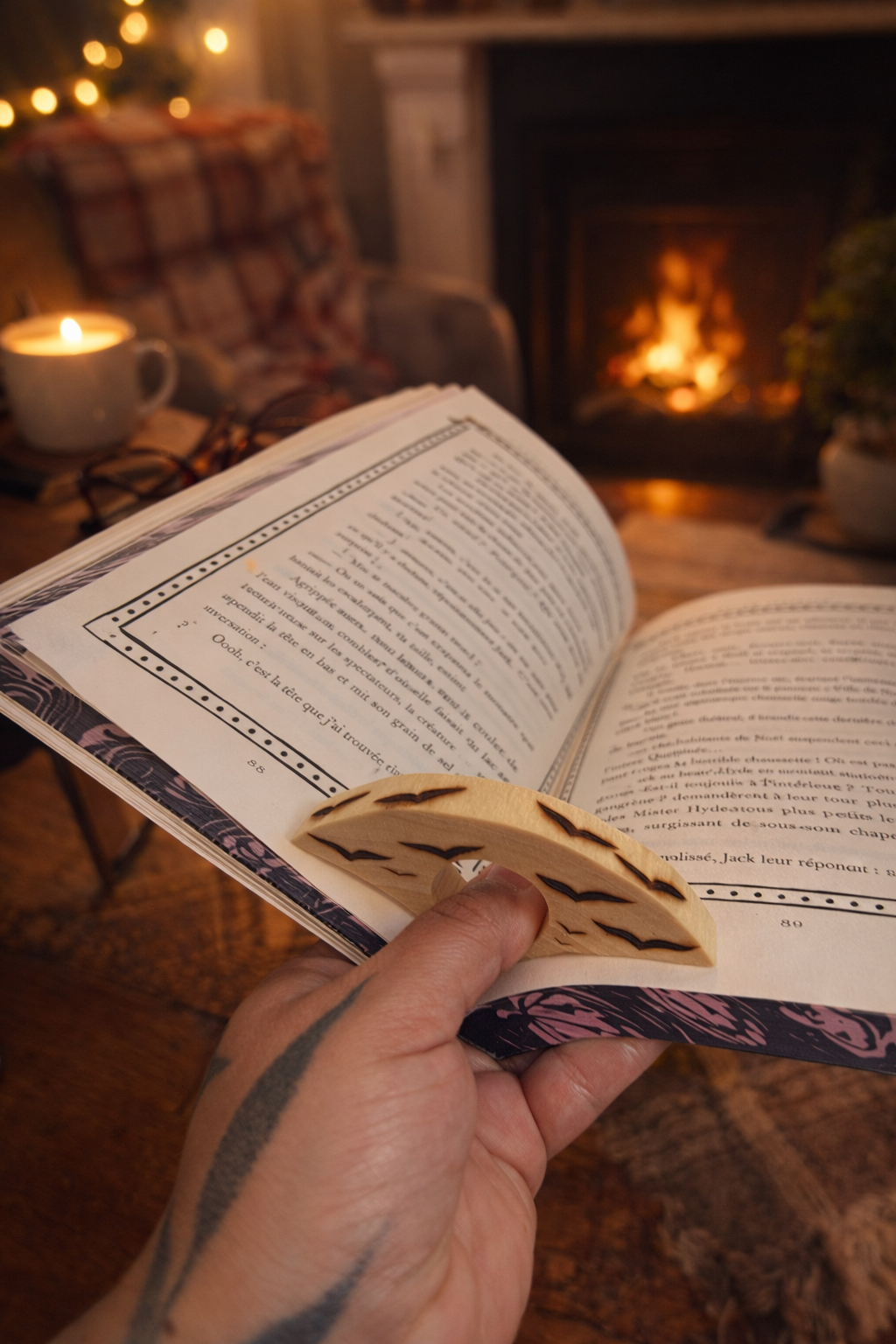 BAGUE DE LECTURE OISEAUX