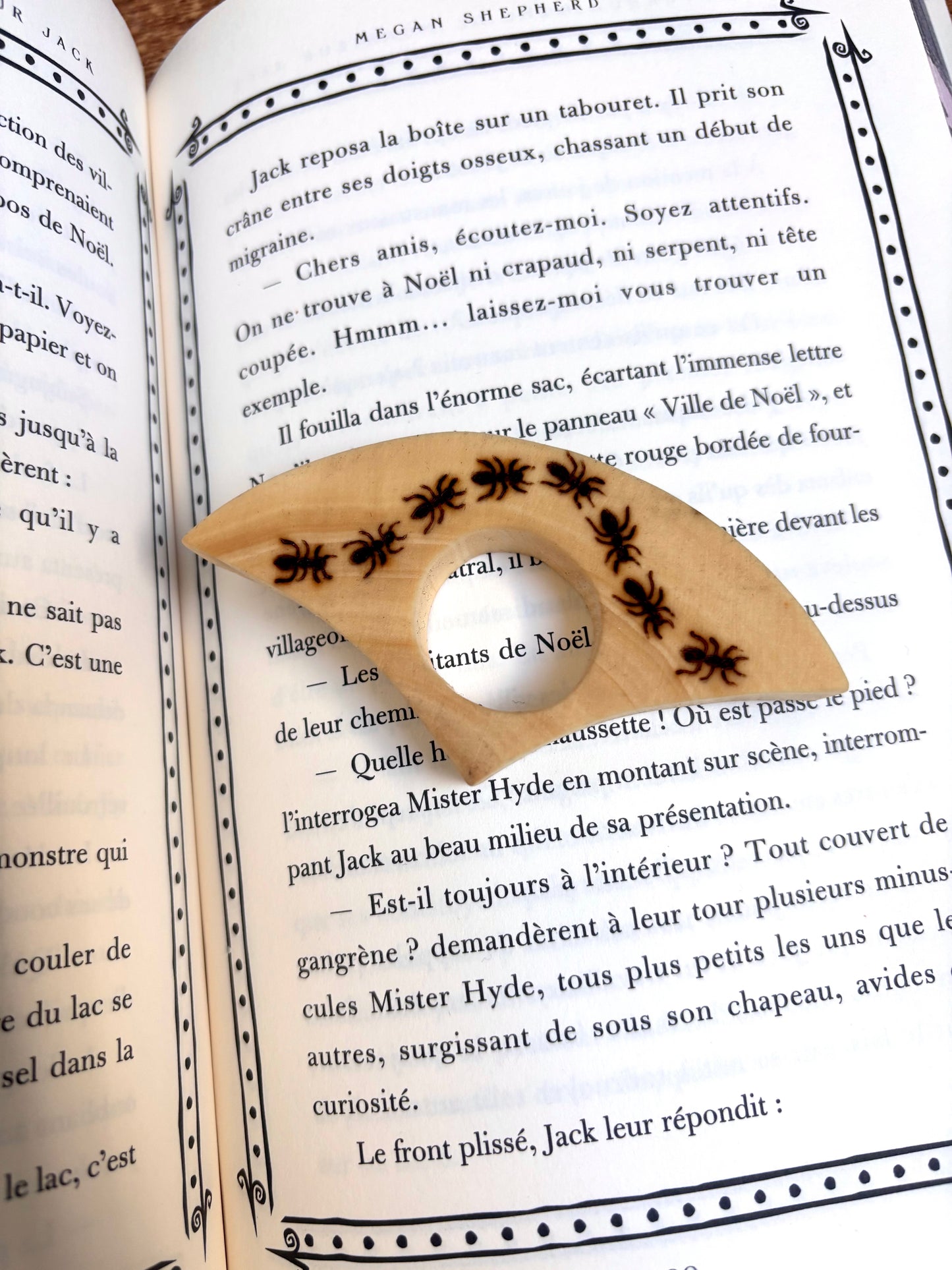 BAGUE DE LECTURE FOURMIS