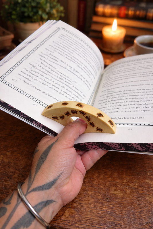 BAGUE DE LECTURE FOURMIS